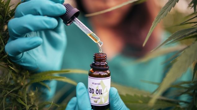 Óleo de CBD e terapias naturais
